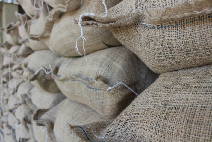 Exportação de café da América do Sul cresce 24,7% no mês de novembro e totaliza 6,07 milhões de sacas