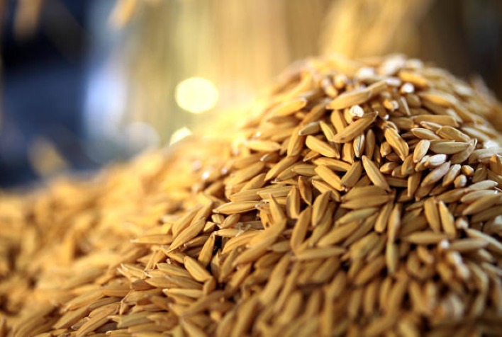 Tendência baixista nas cotações de arroz: Impacto da importação e retração compradora