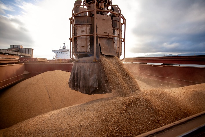 Perspectivas de exportação: Brasil planeja enviar 7,3 milhões de toneladas de soja e 742 mil toneladas de milho em fevereiro