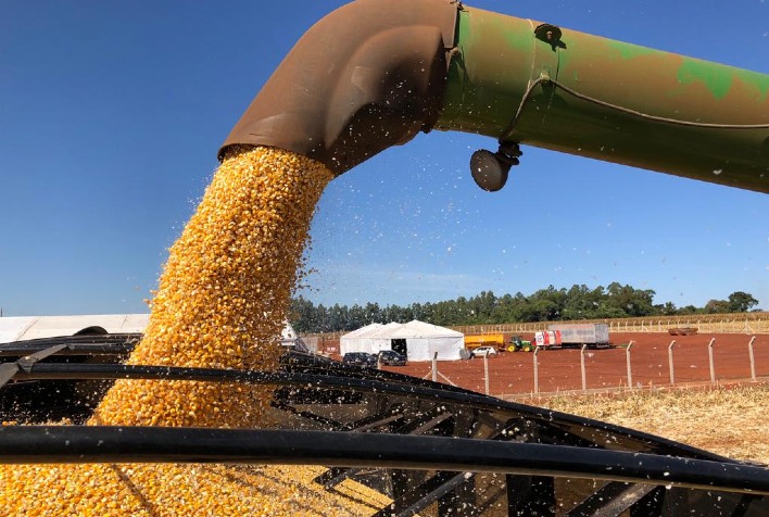 Impasse dominante no mercado de milho brasileiro na semana inicial