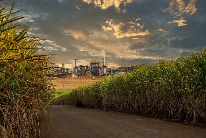 Produção de Cana-de-Açúcar em São Paulo Atinge Novo Patamar na Safra 2022/23