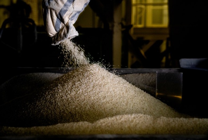 Brasil registra maior volume de importações de arroz em quase duas décadas em 2023/24, revela Safras Agri Week