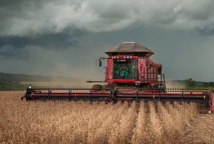 Colheita de soja do Brasil alcança 84%, parte do milho precisa de chuva, diz AgRural