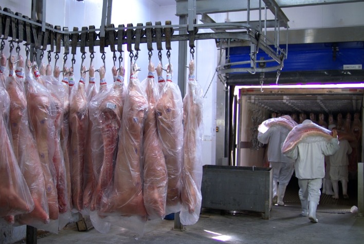 Exportações de carne suína caem em faturamento e volume no terceiro trimestre