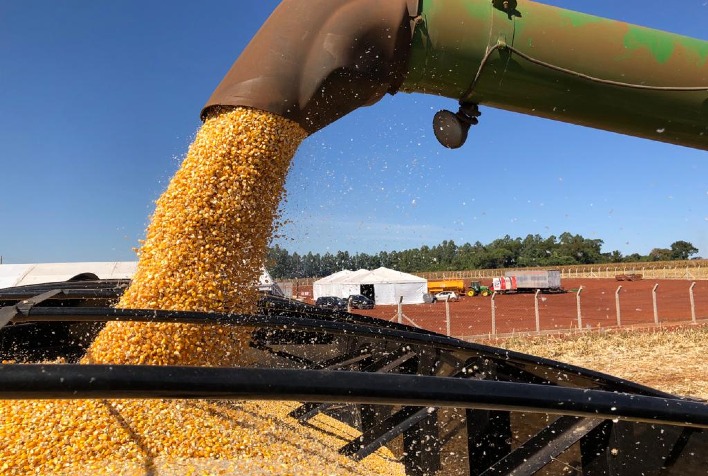 Mercado de milho inicia semana com leves altas na B3 e estabilidade em Chicago