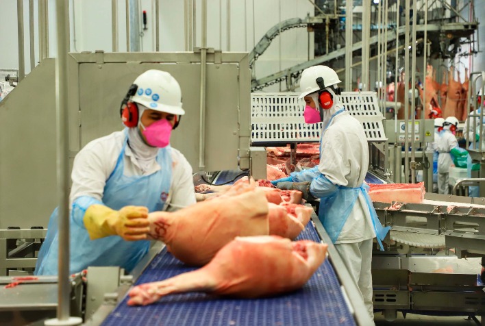 Preços da carne suína caem devido a frigoríficos cautelosos e pressão no atacado