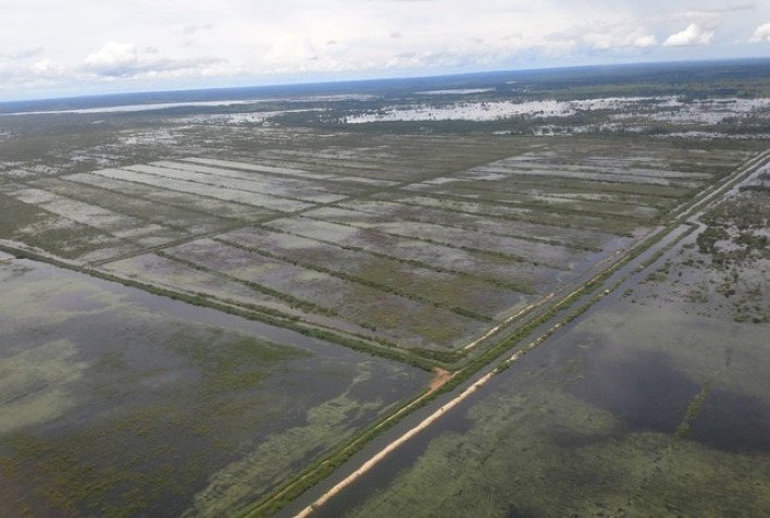 Chuvas intensas no Rio Grande do Sul preocupam produtores de arroz