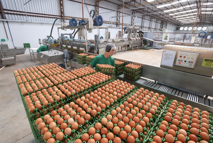 Impactos das Condições Climáticas nas Rotas de Distribuição de Ovos no Rio Grande do Sul