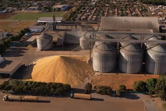Déficit de armazenagem agrava desafios na safra de milho em Mato Grosso