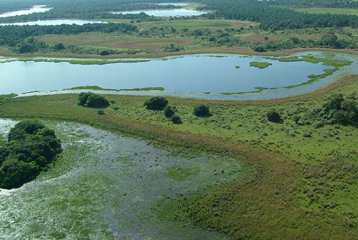 "Estudo alerta para crise hídrica iminente no Pantanal em 2024"