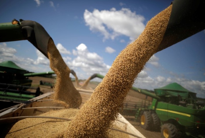 Comercialização de Soja Aumenta no Brasil e USDA Indica Plantio Menor que o Esperado nos EUA