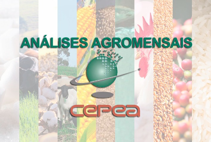 Agromensais de Junho/2024 do Cepea: Panorama dos Principais Produtos Agrícolas Brasileiros