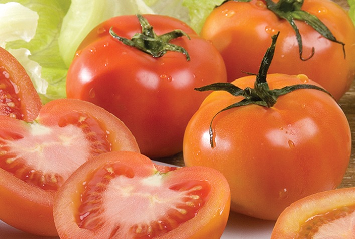 Preços do Tomate Sofrem Pressão devido a Temperaturas Elevadas