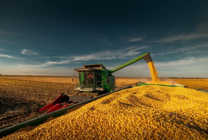 Avanço da Colheita de Milho no Mato Grosso do Sul Alcança 77%, Superando a Safra Anterior em 51 Pontos Percentuais