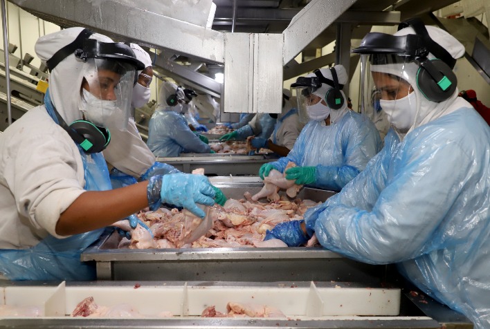 Frango: abates do 1º semestre crescem, mas produção de carne fica aquém do recorde de um ano atrás