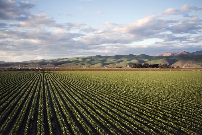 Aumento de 9,3% nas Áreas Tratadas com Defensivos Agrícolas no Primeiro Semestre de 2024