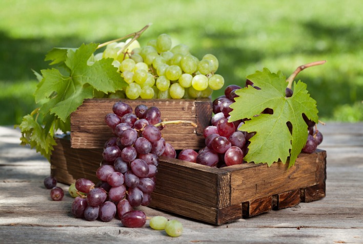 Diferença de Preços Entre Uvas Branca e Negra Atinge Nível Histórico