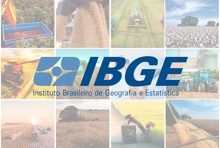 IBGE projeta safra de 296,4 milhões de toneladas para 2024