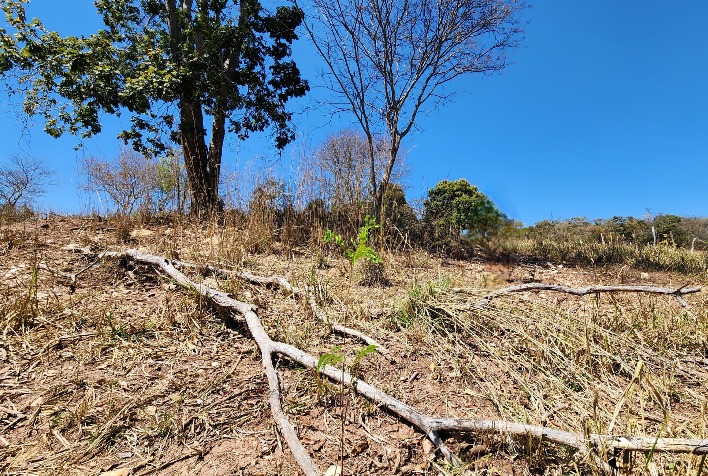 Agricultores Mineiros Afetados pela Seca Poderão Renegociar Dívidas