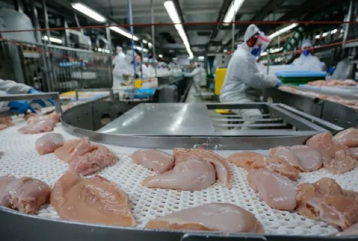 Carne de frango: volume exportado aumenta em relação a 2023, mas 13 UFs continuam com resultado negativo