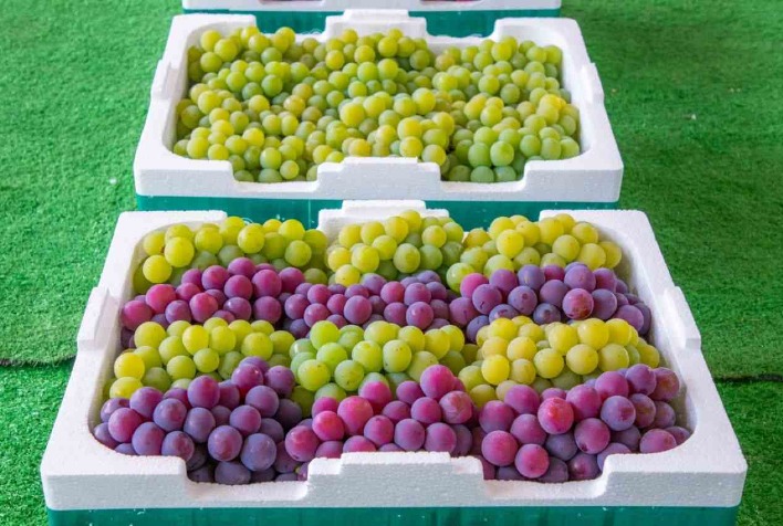 Brasil Conquista Acesso ao Mercado Chinês para Uvas Frescas