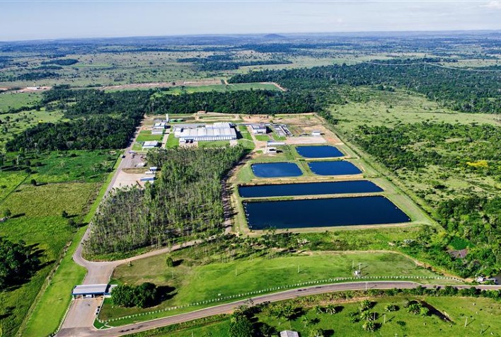 Minerva Foods Obtém Habilitação para Exportar Carne aos Estados Unidos