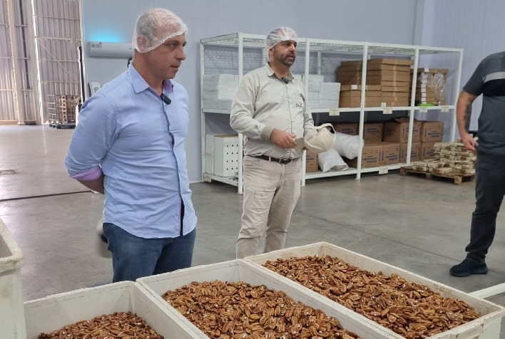 Encontro Técnico em Cachoeira do Sul Consolida Importância da Produção de Noz-Pecã no Sul do Brasil