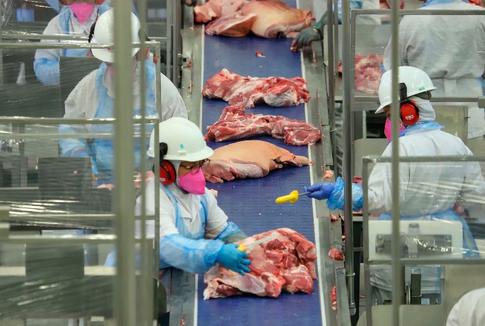 Queda nos Preços de Carne Suína Reflete Avanço da Oferta e Retração de Frigoríficos