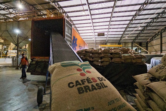 Brasil Registra Exportação Recorde de Café em 2024, Com Mais de 50 Milhões de Sacas