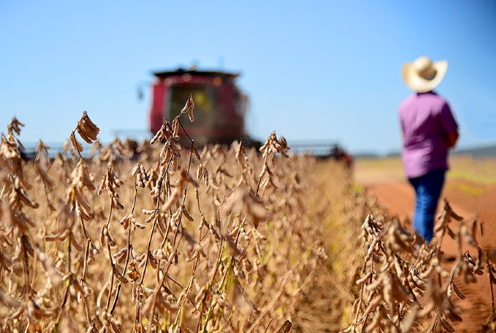 Soja registra alta superior a 1% em Chicago, impulsionada por derivados e clima na América do Sul