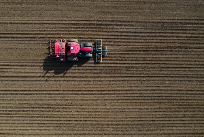 Início do Plantio do Milho no Mato Grosso é Marcado por Lentidão, Aponta Imea