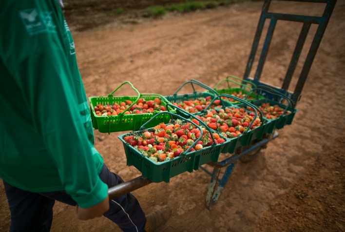 Sistema Faemg Senar promove capacitação gratuita para produtores rurais em diversas regiões de Minas Gerais