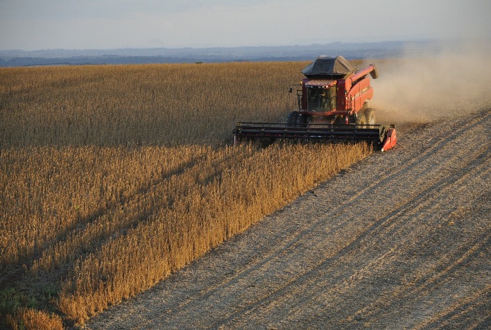 Colheita da Soja Avança em Mato Grosso, mas Atraso Gera Preocupação