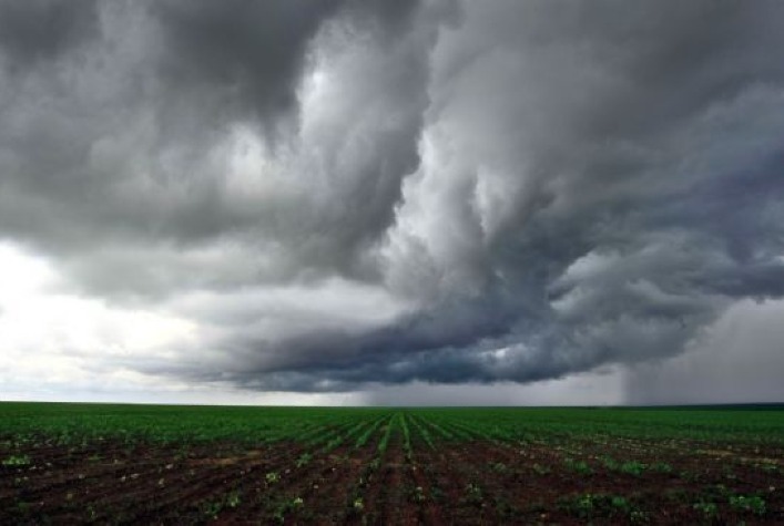 Chuvas Atrasam Semeadura do Algodão em Mato Grosso, Indica Imea