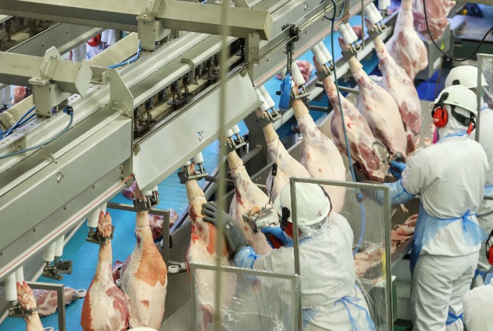 Paraná Alcança Recorde Histórico na Exportação de Carne Suína