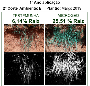 microgeo-avalia