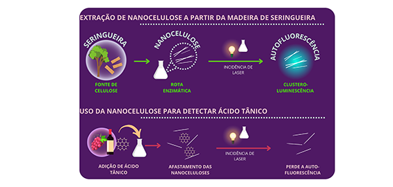 infografico-kelcilene-teodoro