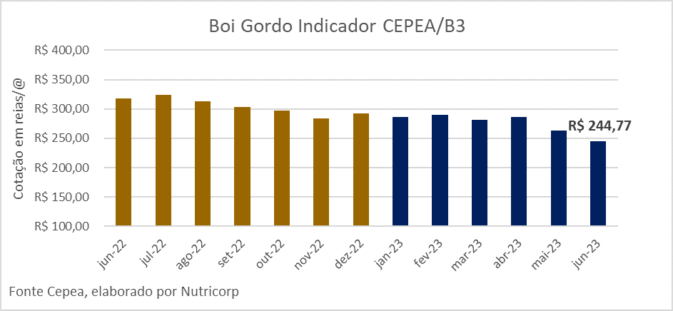 boi-indicador-graf-nutricorp