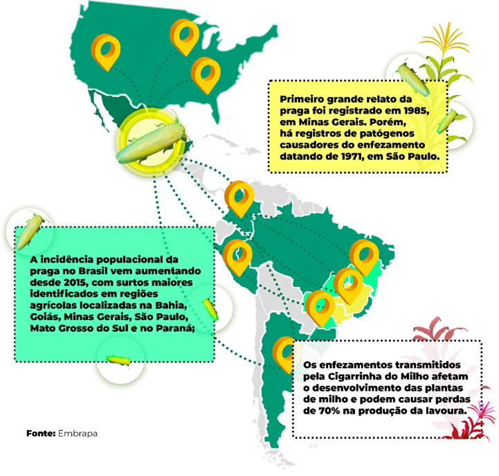 biologico-infografico