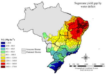 efeitos-irrigacao-n1