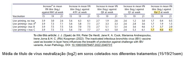 vacina-graf-msd2