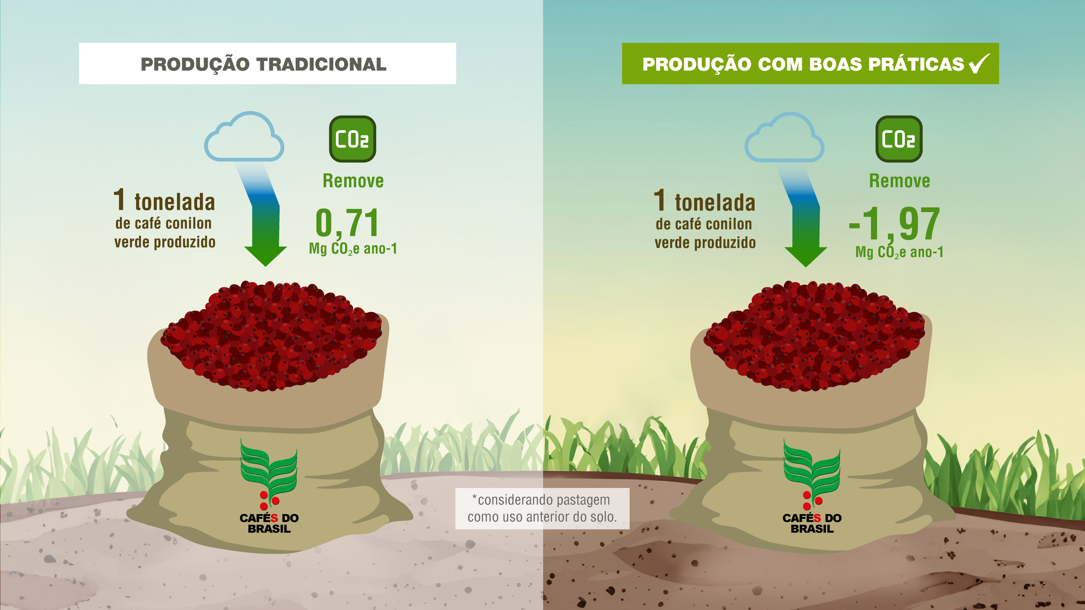 cecafe-infografico-cafe1