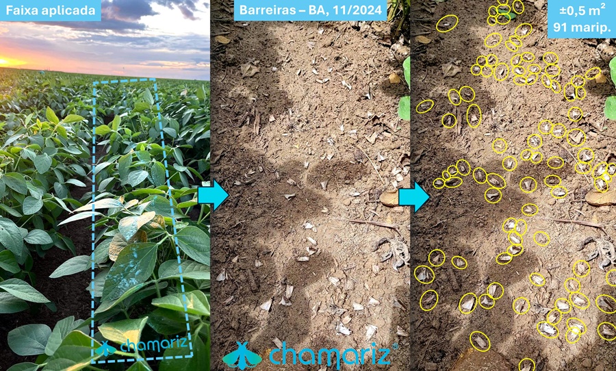 chamariz-barreiras-ba-11-2024-b