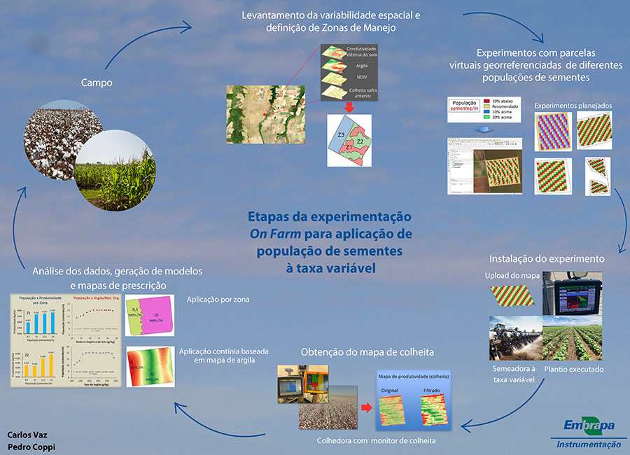 semeadurataxavariavel-infografico