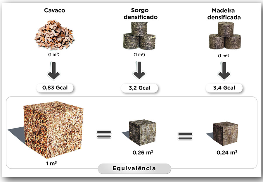 sorgobiomassaenergia-divulgacao-figura-5