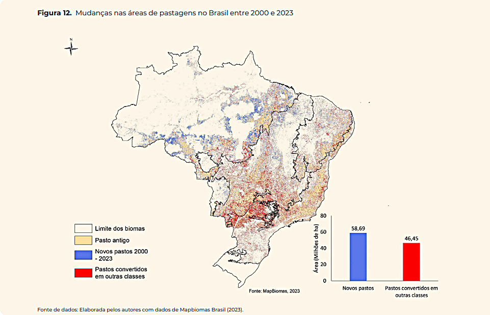 pecuria-expansao-info